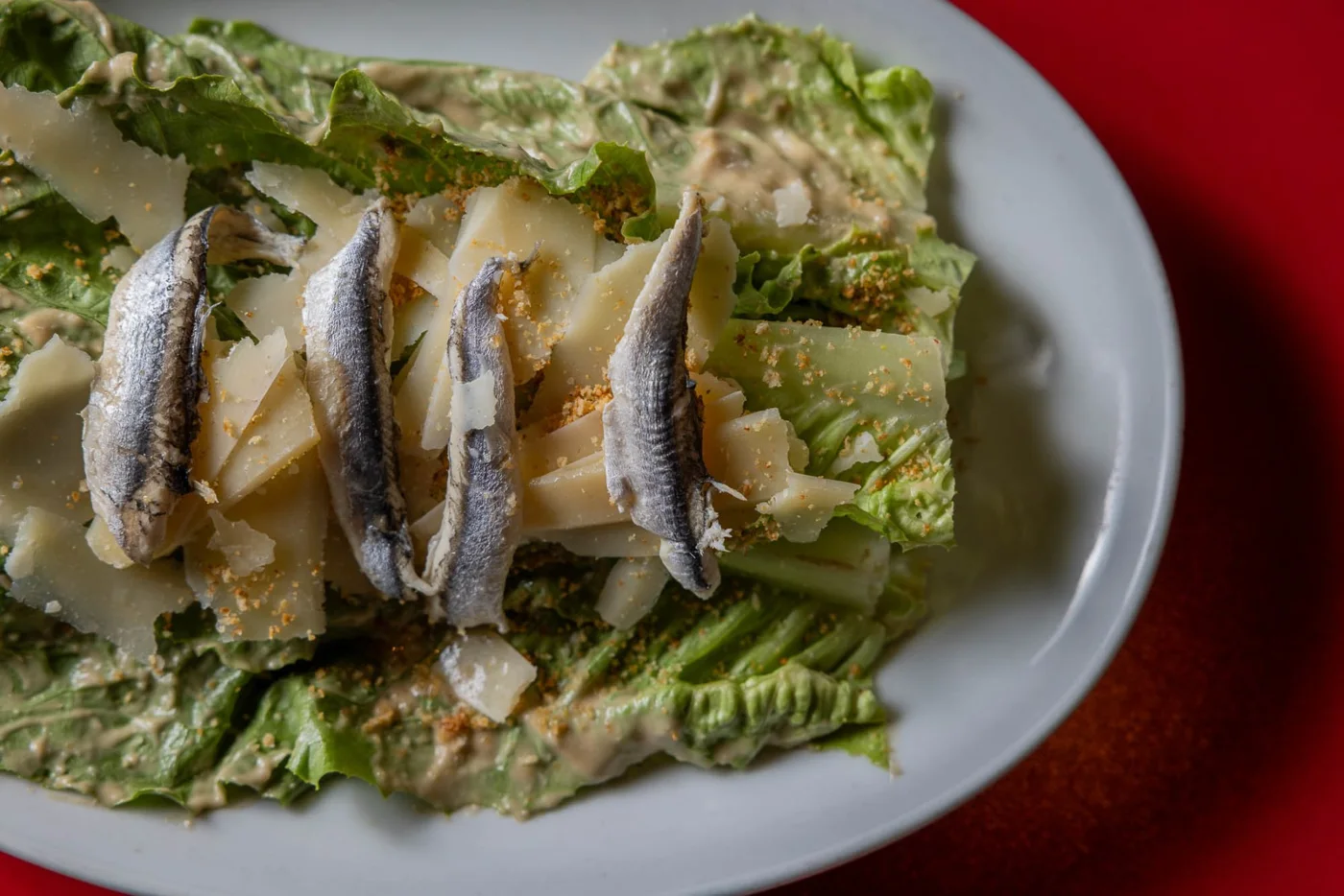 ASTI Trattoria, business photo 2