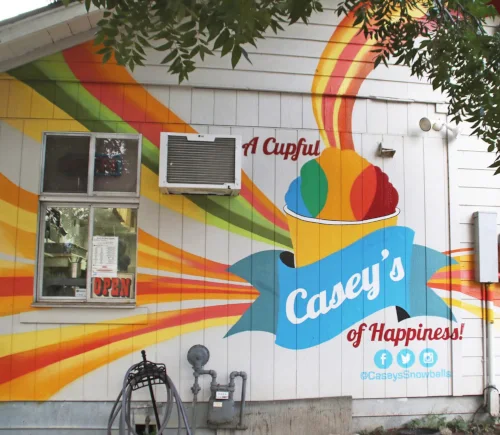 Casey's New Orleans Snowballs, business photo 2