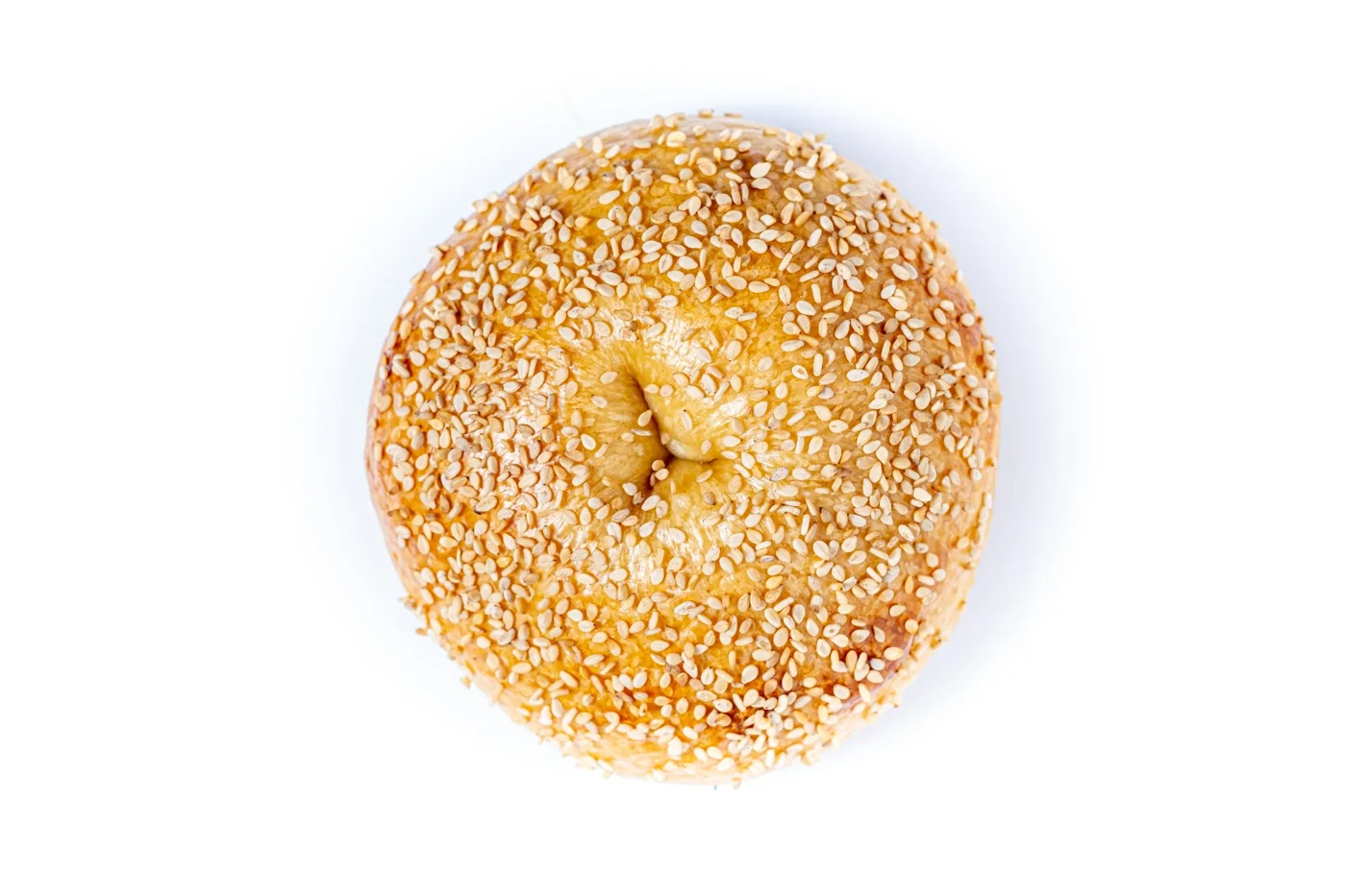 David Doughie's Bagelry, business photo 3