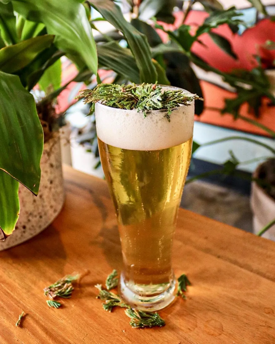 Hopsquad Brewing Co, business photo 4